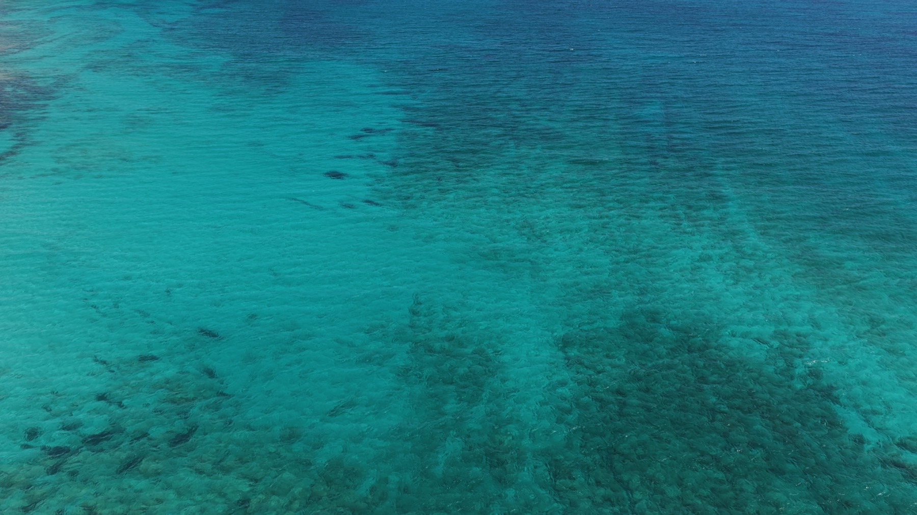 Beach shot of the Alam Al Roum shoreline 6